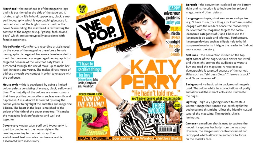 Pop Music Magazine2